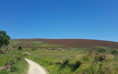 Pensamientos de abril: te pido gracia y fortaleza…