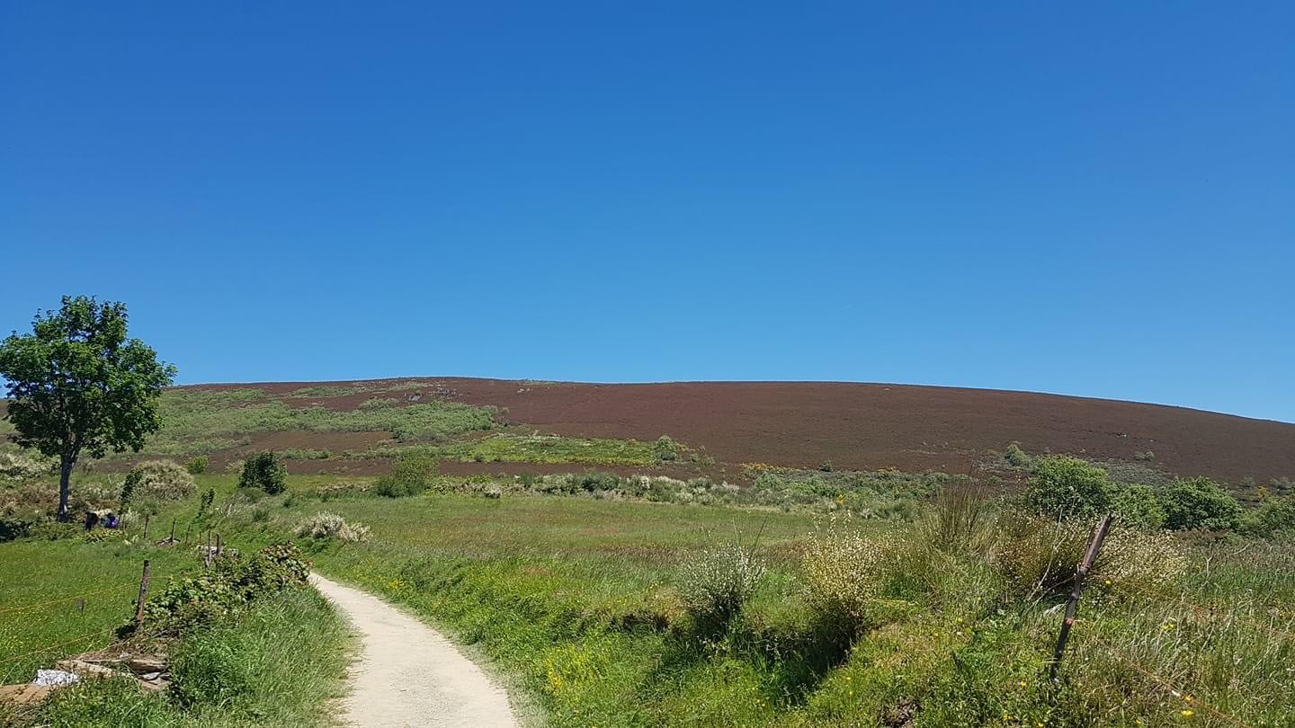 Pensamientos de abril: te pido gracia y fortaleza…