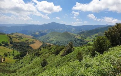 Pensamientos de abril: salir de la oscuridad