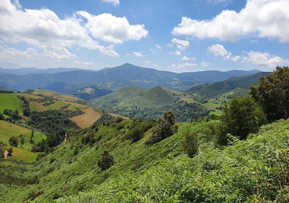 Pensamientos de abril: salir de la oscuridad