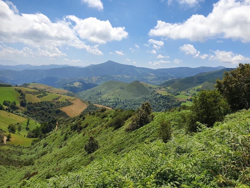 Pensamientos de abril: salir de la oscuridad