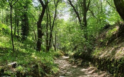 Pensamientos de abril: encender la llama celestial