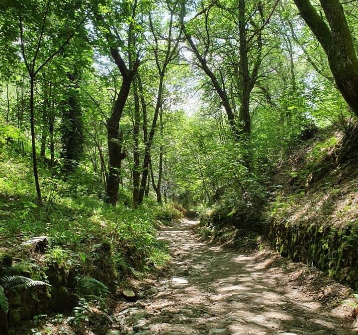 Pensamientos de abril: encender la llama celestial