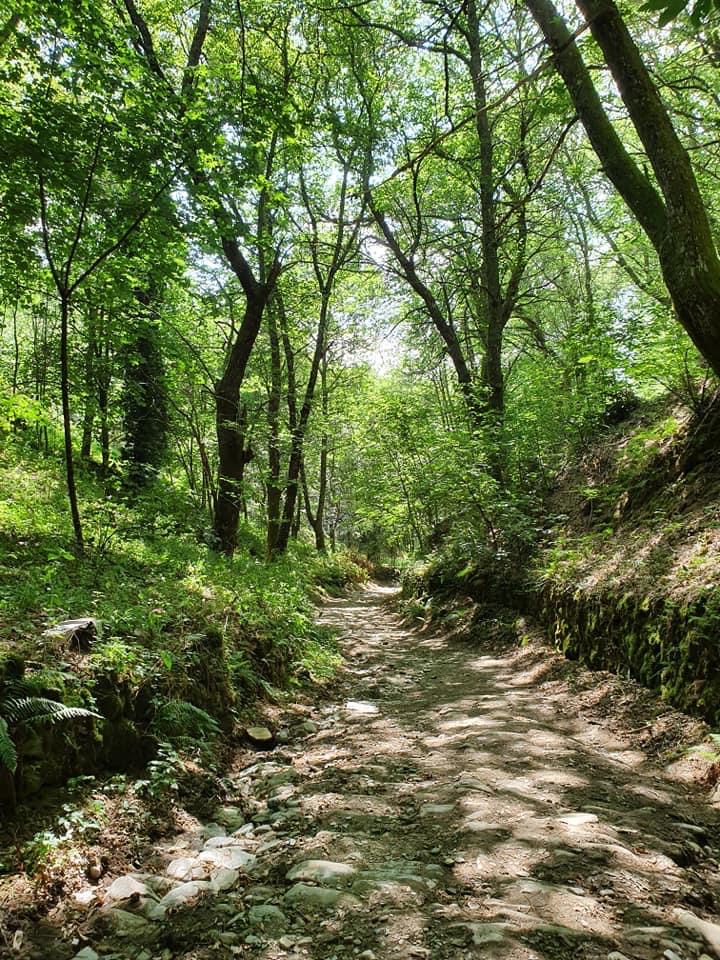 Pensamientos de abril: encender la llama celestial