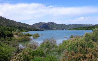 Pensamientos de mayo: una oportunidad para dar