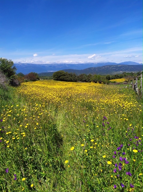 Pensamientos de mayo: proyectar cada vez más luz