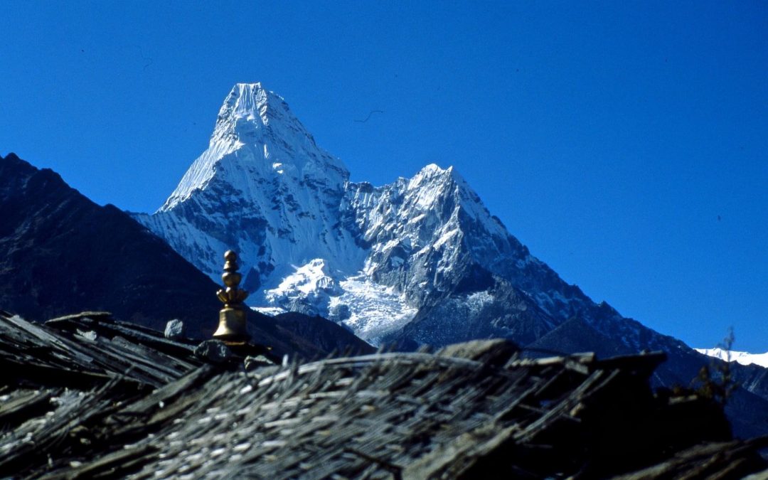 Pensamientos de mayo: no abandonéis lo esencial