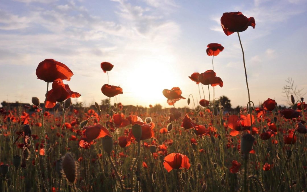 Pensamientos de mayo : unámonos para saludar a las fuerzas de la vida…