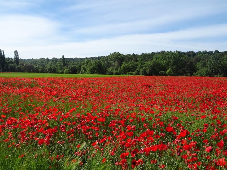 Pensamientos de mayo: mantener el contacto con las Inteligencias celestiales