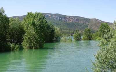 Pensamientos de mayo: mantendréis en vosotros la llama de la vida…