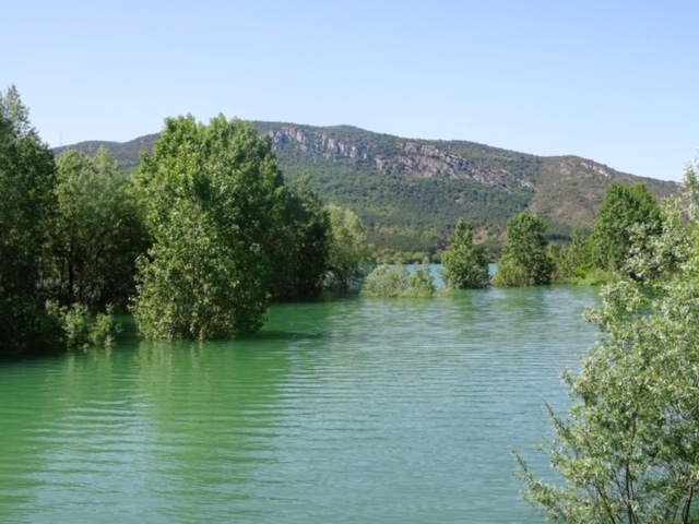 Pensamientos de mayo: mantendréis en vosotros la llama de la vida…
