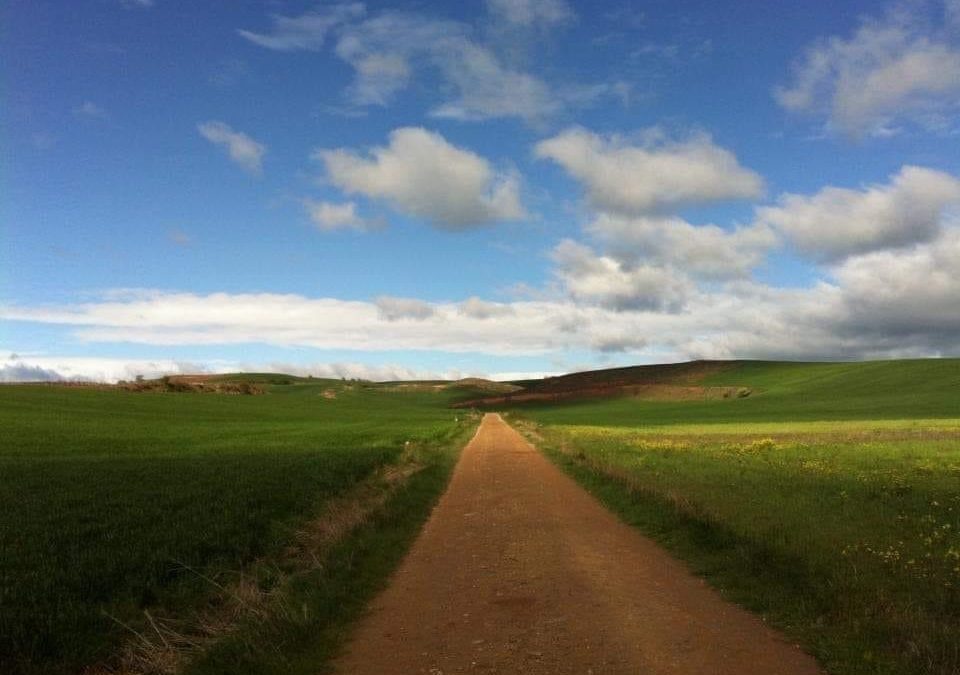 Pensamientos de mayo: voy a ensanchar mi consciencia…