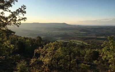 Pensamientos de mayo: quitar el velo