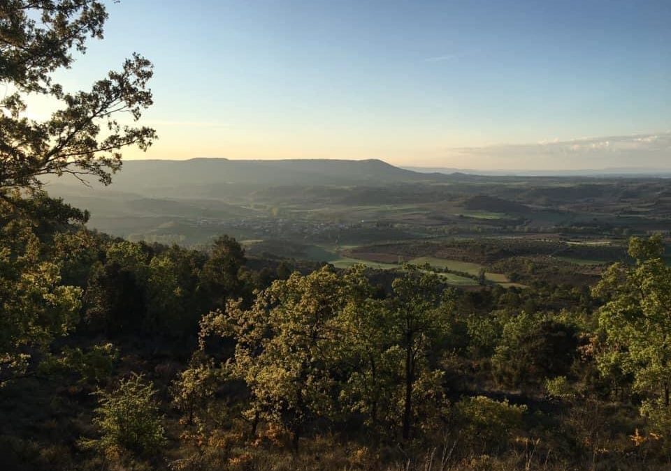 Pensamientos de mayo: quitar el velo