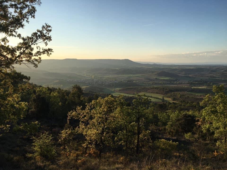 Pensamientos de mayo: quitar el velo