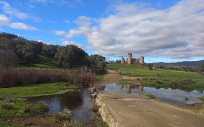 Pensamientos de mayo: el poder del pensamiento para elevarnos