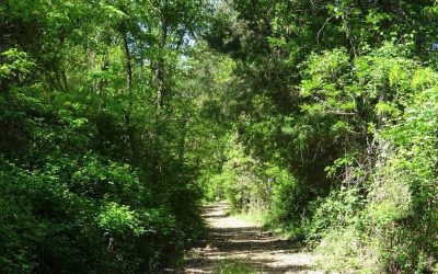 Pensamientos de mayo: el vínculo con el Cielo