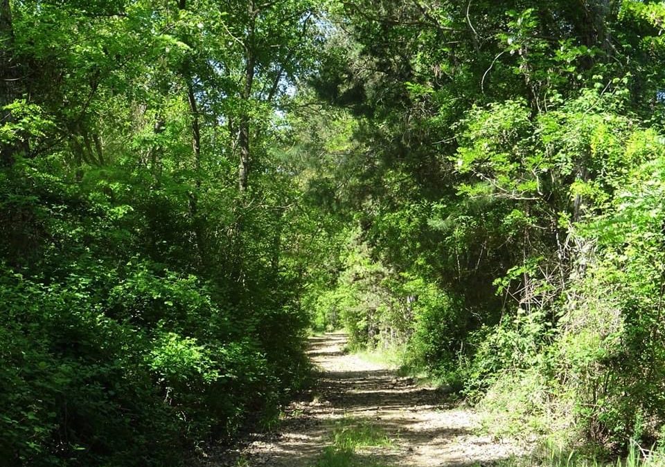 Pensamientos de mayo: el vínculo con el Cielo