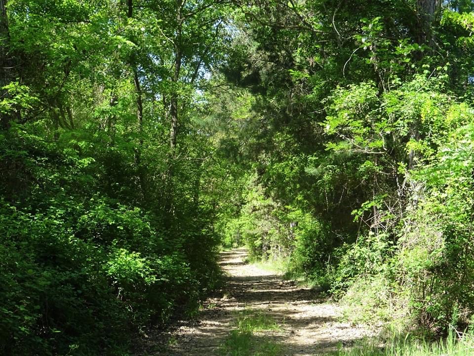 Pensamientos de mayo: el vínculo con el Cielo