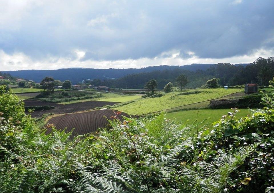 Pensamientos de mayo: cada ser vivo emite unas ondas…