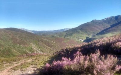 Pensamientos de mayo: un acto sagrado