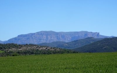 Pensamientos de mayo:  estar a solas con el sol… con la eternidad