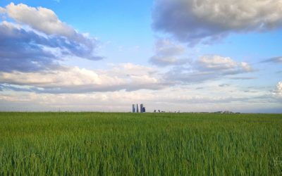 Pensamientos de mayo: purificarnos