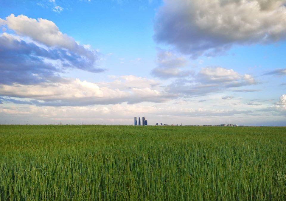 Pensamientos de mayo: purificarnos