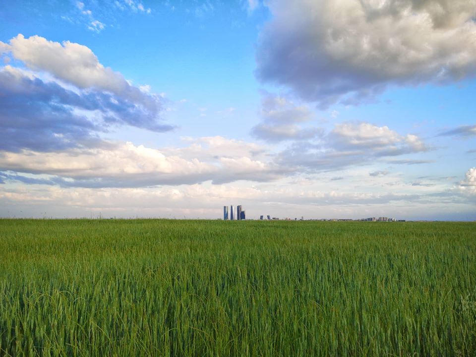 Pensamientos de mayo: purificarnos