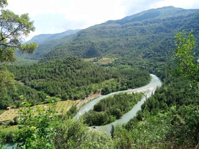 Pensamientos de mayo: buscar cada día el centro divino en vosotros mismos