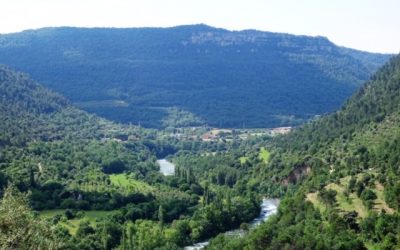 Pensamientos de mayo: ¿Conocéis este jardín?