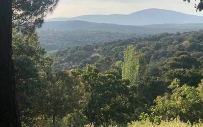 Pensamientos de mayo: hacer el silencio