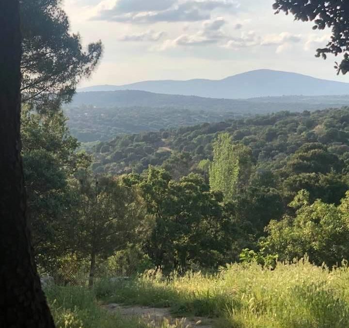 Pensamientos de mayo: hacer el silencio