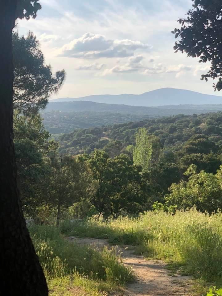 Pensamientos de mayo: hacer el silencio