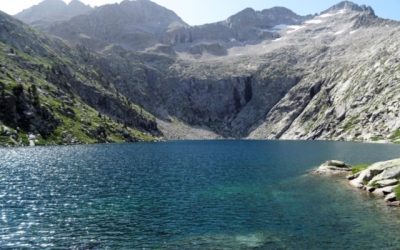 Pensamientos de mayo: la naturaleza nos habla