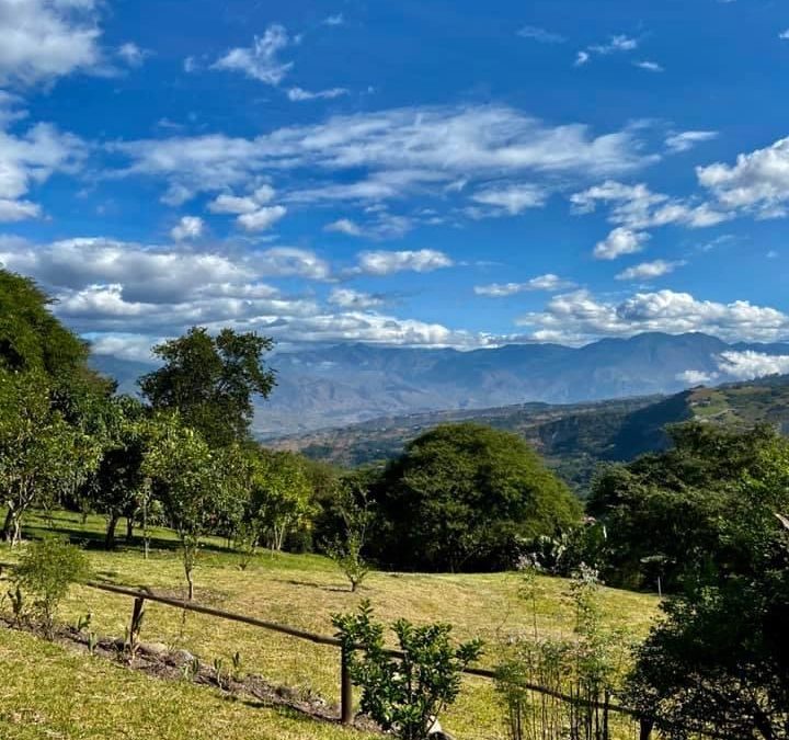 Pensamientos de mayo: unas inmensas antenas…