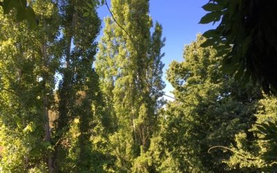 Pensamientos de junio: crear con el pensamiento algo puro, caluroso, luminoso…