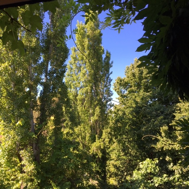 Pensamientos de junio: crear con el pensamiento algo puro, caluroso, luminoso…