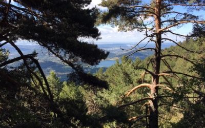 Pensamientos de junio: Luz de luz