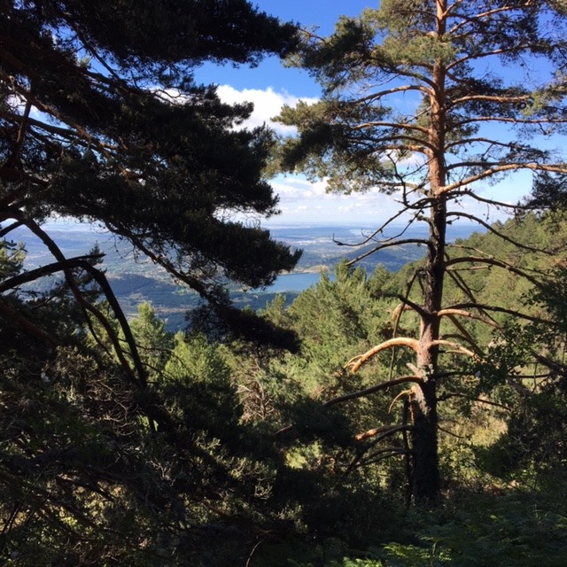 Pensamientos de junio: Luz de luz