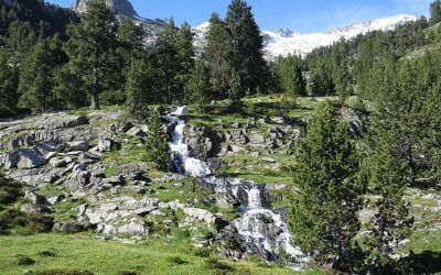 Pensamientos de junio: debemos caminar juntos…