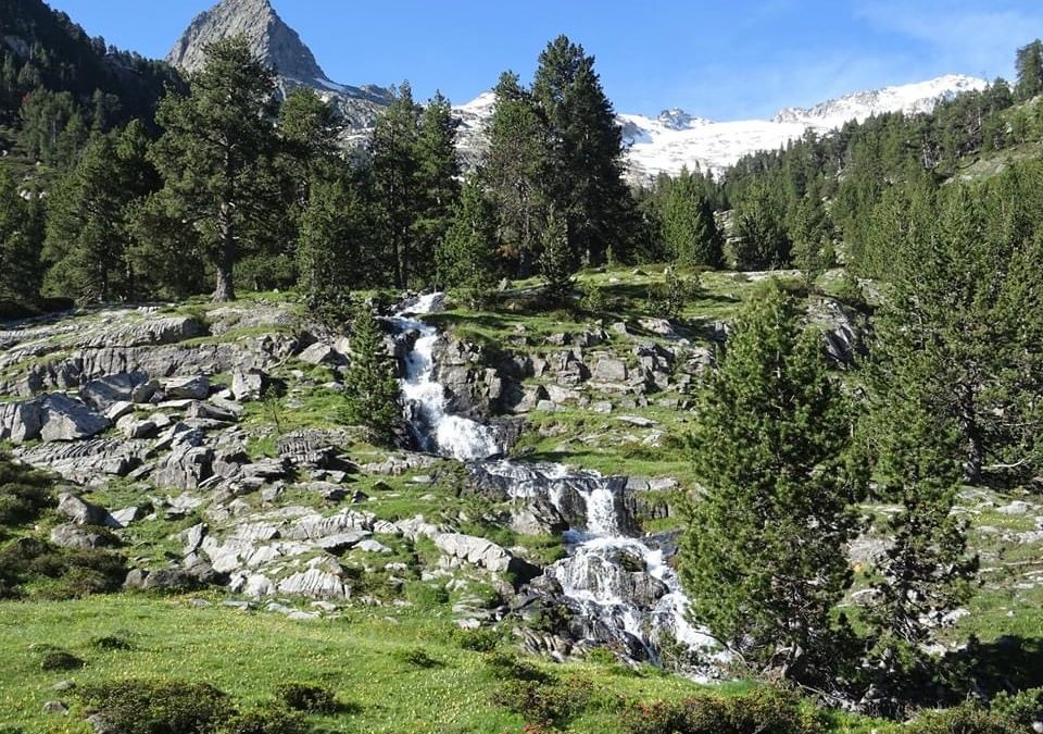 Pensamientos de junio: debemos caminar juntos…