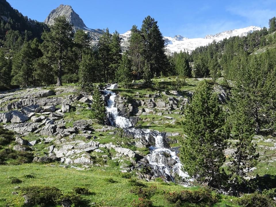 Pensamientos de junio: debemos caminar juntos…