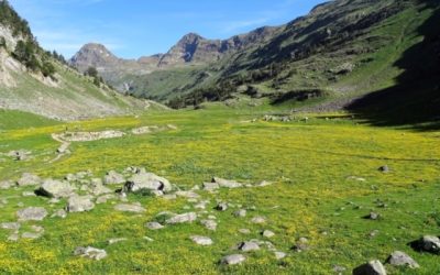 Pensamientos de junio: el Verbo