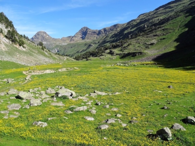 Pensamientos de junio: el Verbo