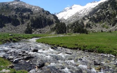 Pensamientos de junio: unidad