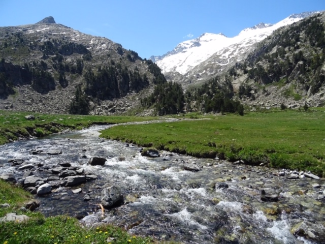 Pensamientos de junio: unidad