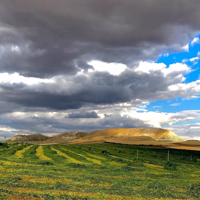 Pensamientos de junio: vuestra consciencia se ensancha …