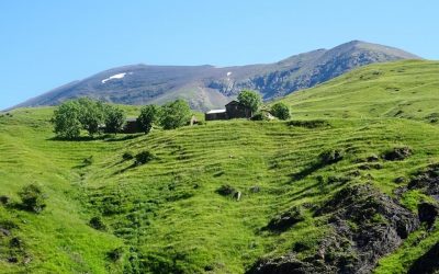 Pensamientos de junio: vengo a socorrer