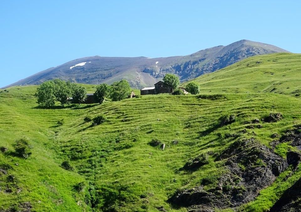 Pensamientos de junio: vengo a socorrer
